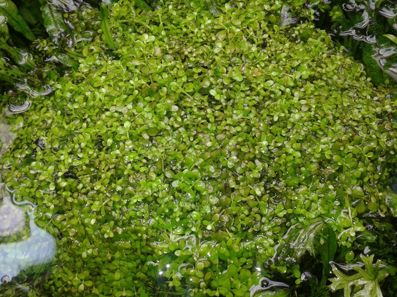 20160305_103806.jpg