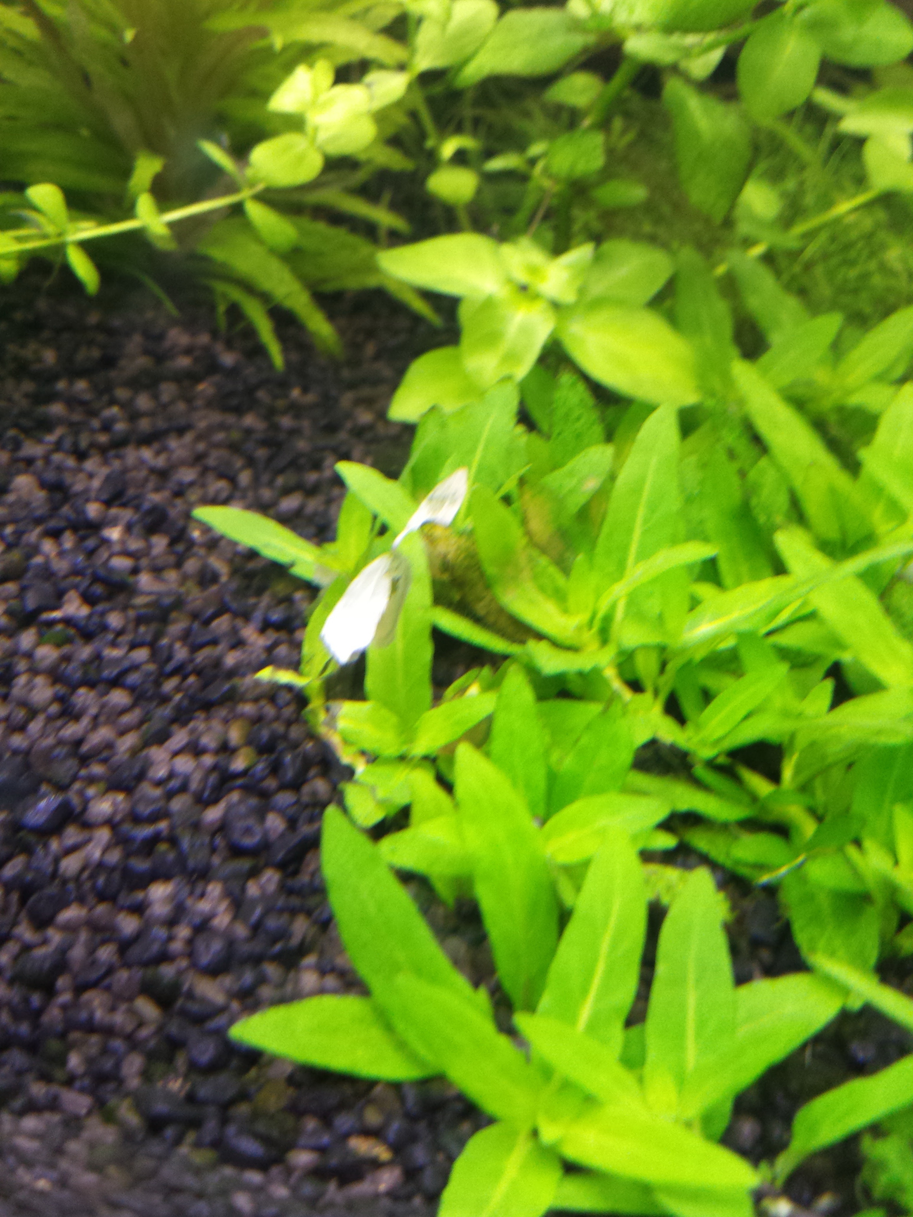 20160306_125425.jpg