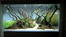 250l - Stones and roots - ynfqaab