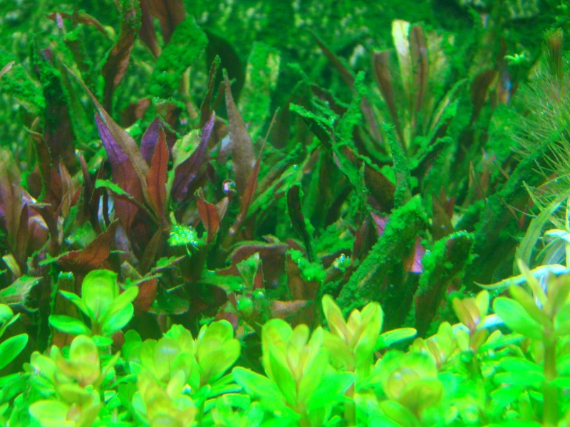 DSC03630.JPG