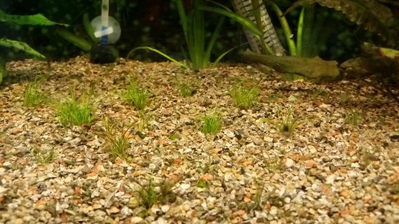 20160316_073211.jpg