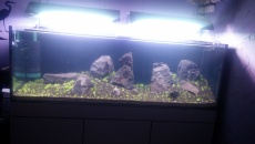 Pierwsze Iwagumi i 375L