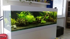 600l - Nowy projekt - 3promile