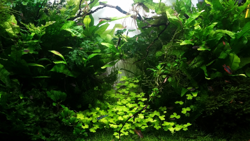 20160322_194022.jpg