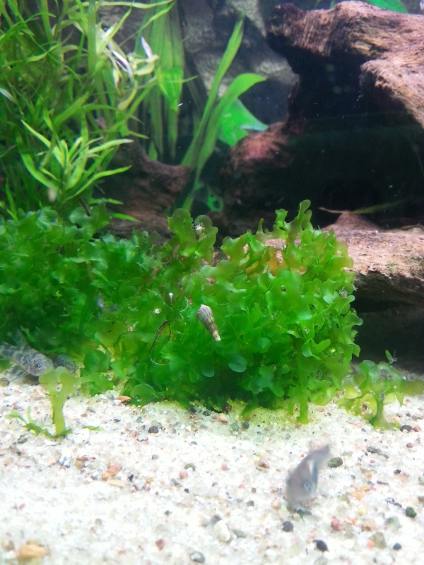 20160325_204503.jpg