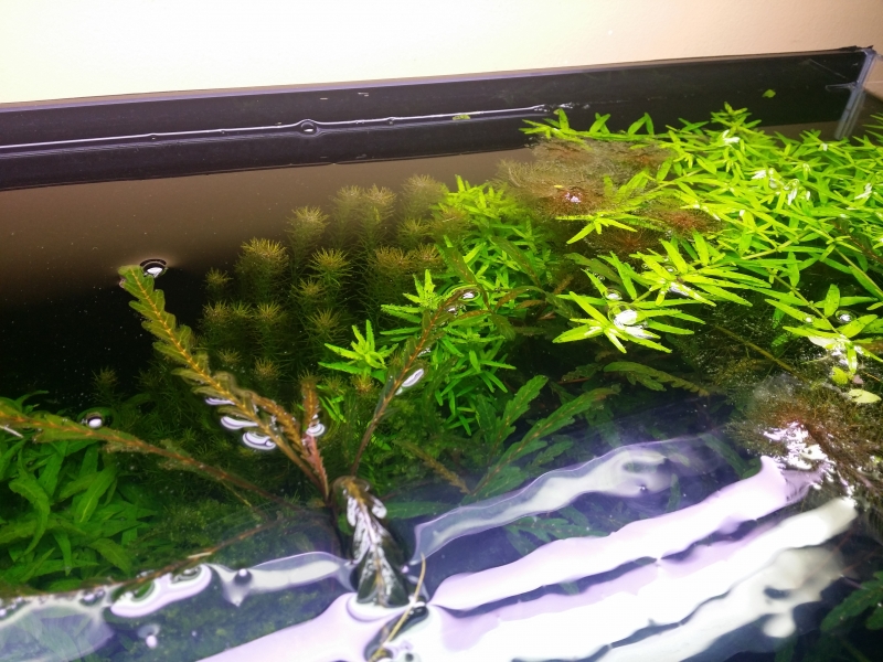 20160331_212758.jpg