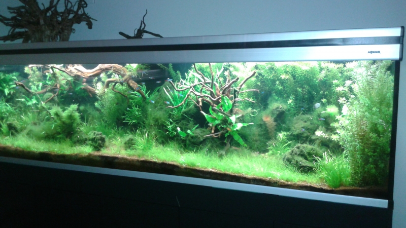 20160327_174854.jpg