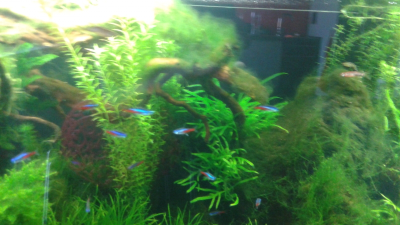 20160404_095040.jpg