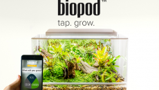 Biopod-domowy las deszczowy sterowany smartphonem