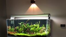 Akwarium pod frywolną damą