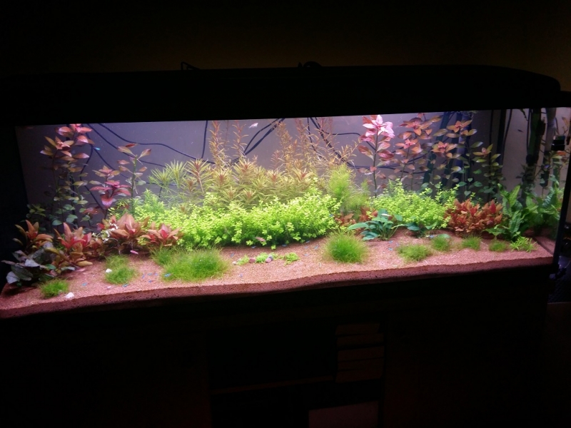 20160403_212535.jpg