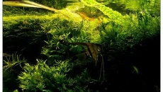 200l - FISHTANK | Sebastian Stolarski