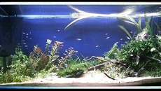 200l - FISHTANK | Sebastian Stolarski