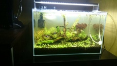 Lampy LED Chihiros z serii A