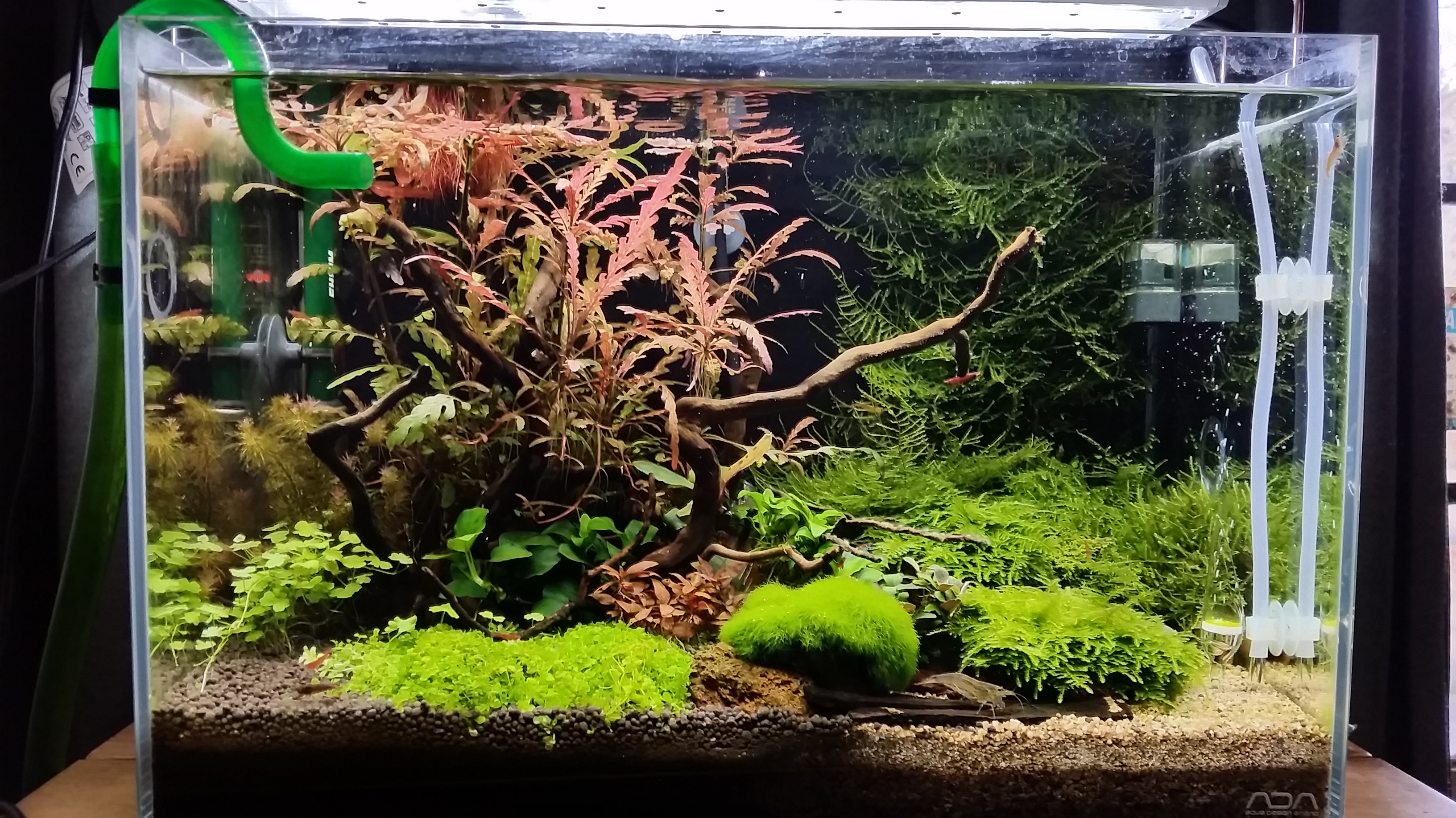 20160331_154742.jpg