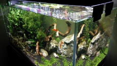 Opinia o lampach led
