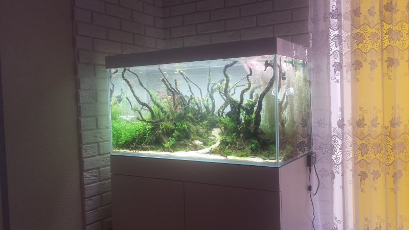 20160417_175010.jpg
