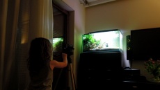 182l -  Fishtank_3 - S.S.