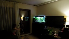 182l -  Fishtank_3 - S.S.
