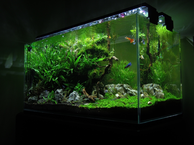 DSCN2818.JPG