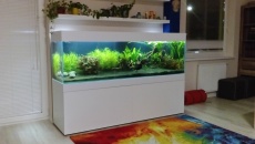 600l - Nowy projekt - 3promile