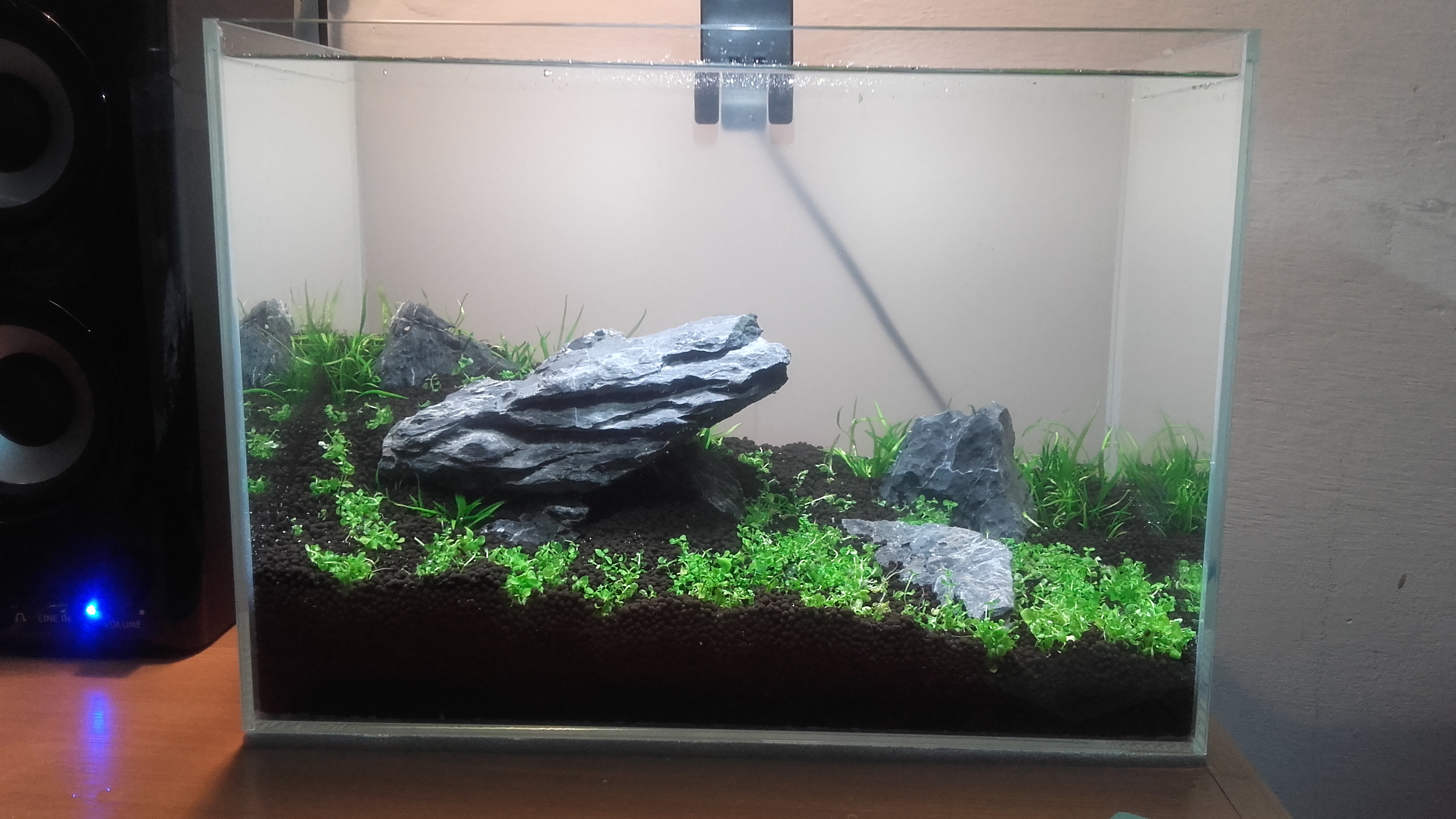 20160424_215440.jpg