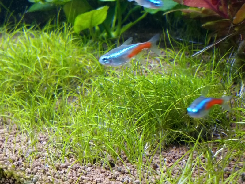 20160430_170206.jpg