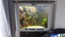 Co wy na taki baniak, Paletki 800L???