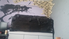 Pierwsze Iwagumi i 375L