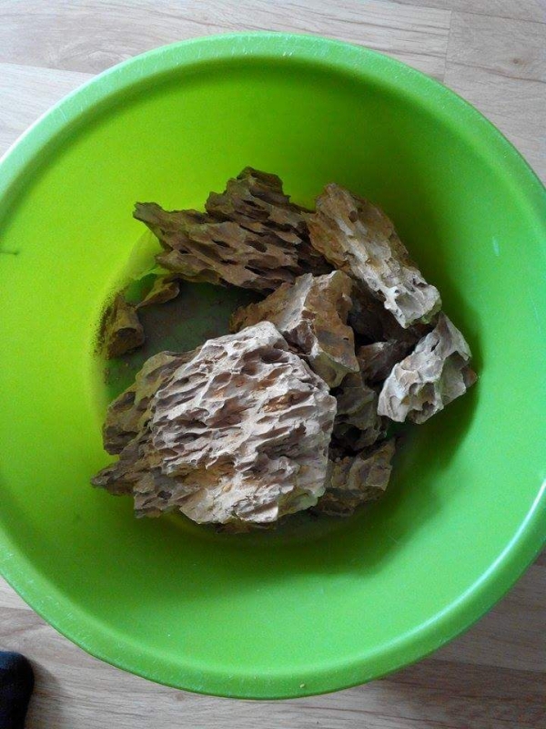 received_873046416083232.jpeg