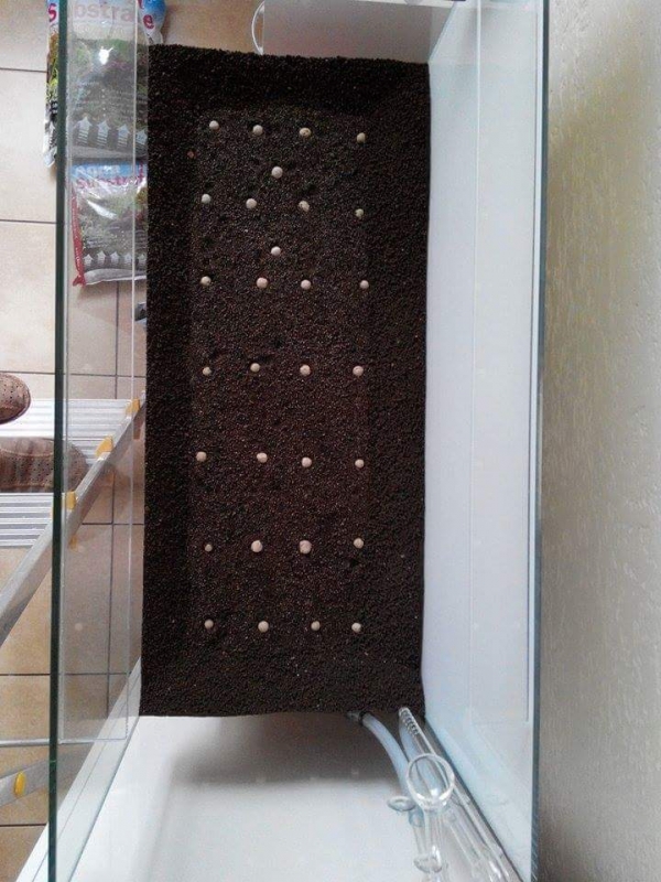 received_873046386083235.jpeg