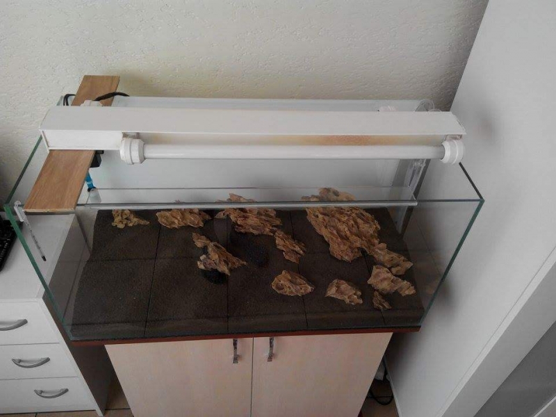received_875501655837708.jpeg