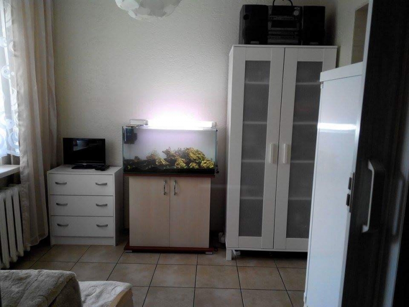 received_875569892497551.jpeg
