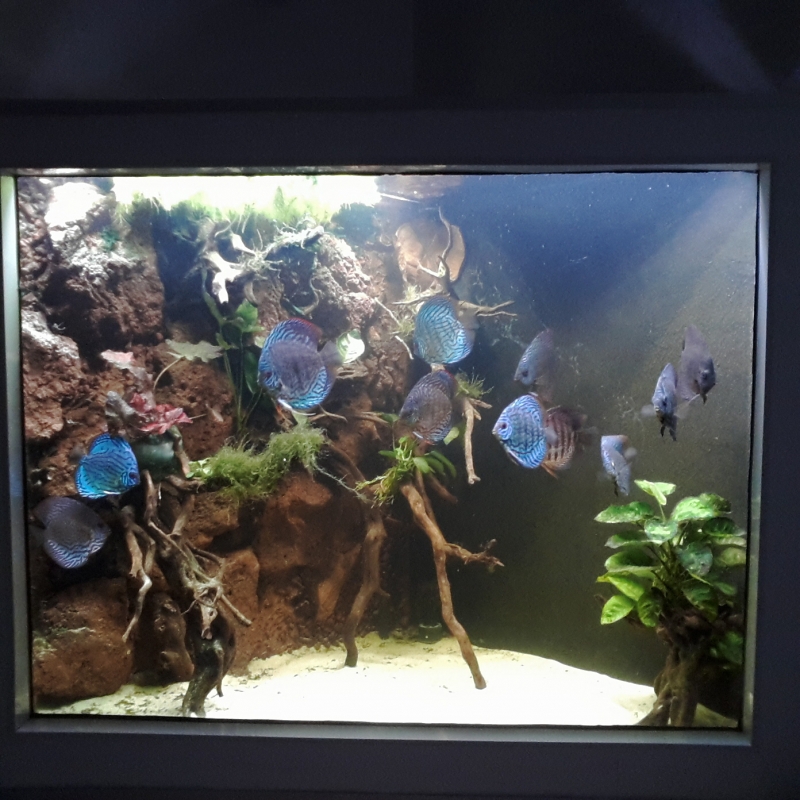 20160429_122127.jpg
