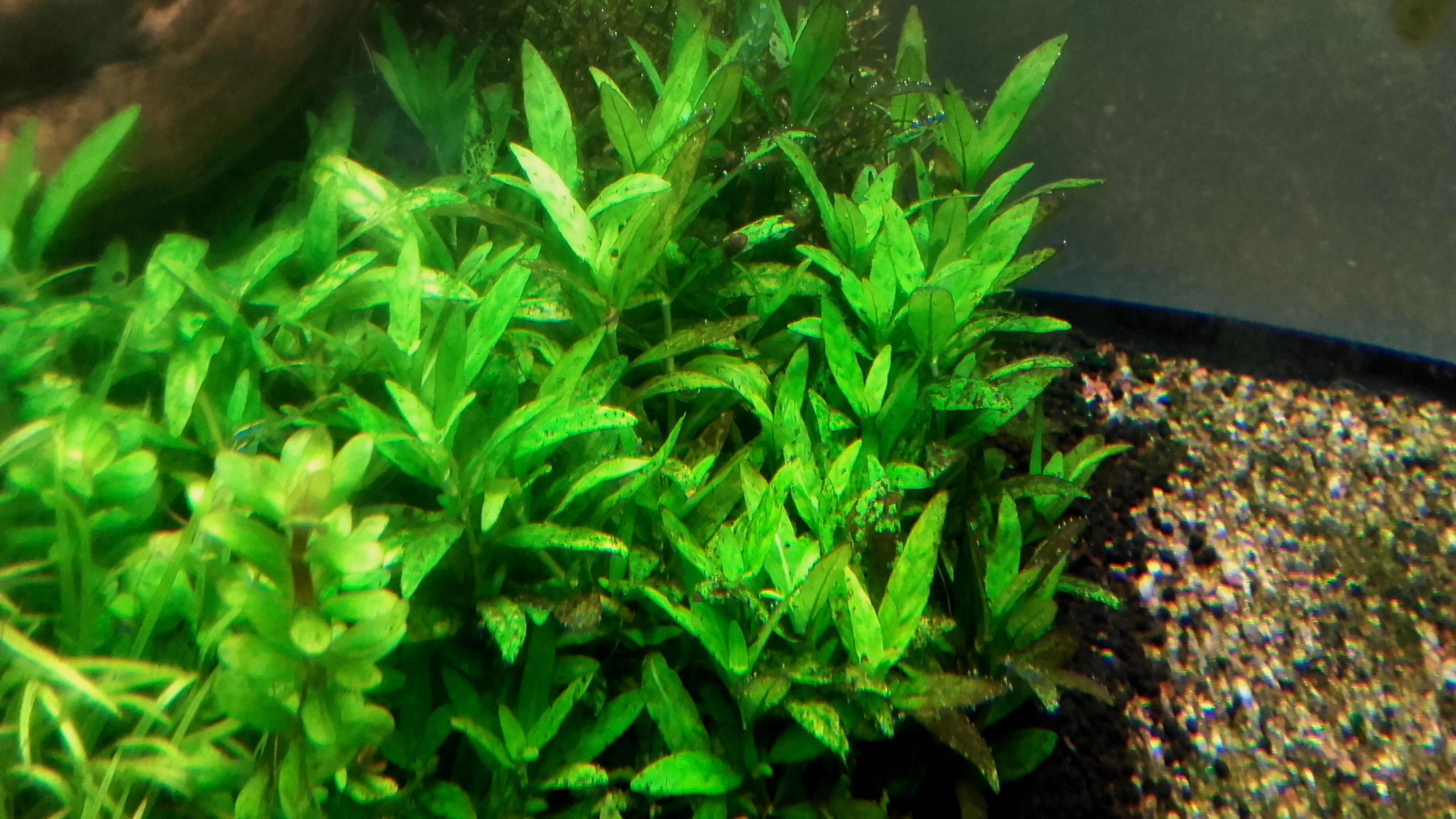 20160509_203443.jpg