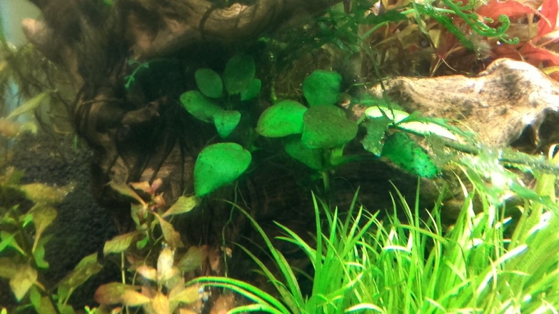 20160509_203338.jpg