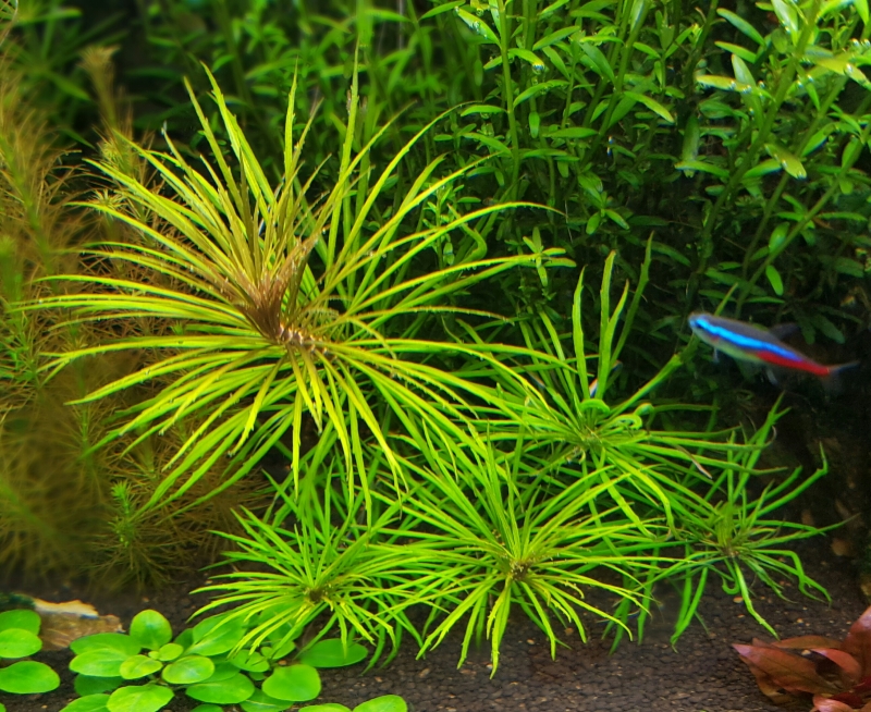 20160509_234654.jpg