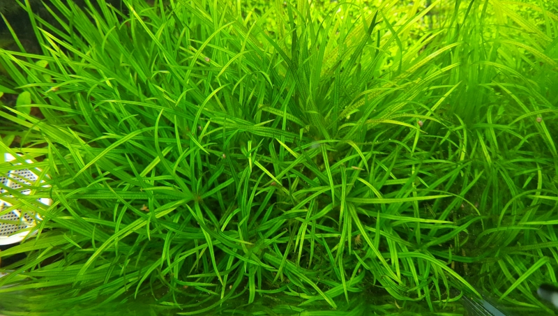 20160509_234746.jpg