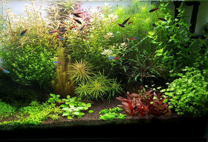 20160509_235013.jpg