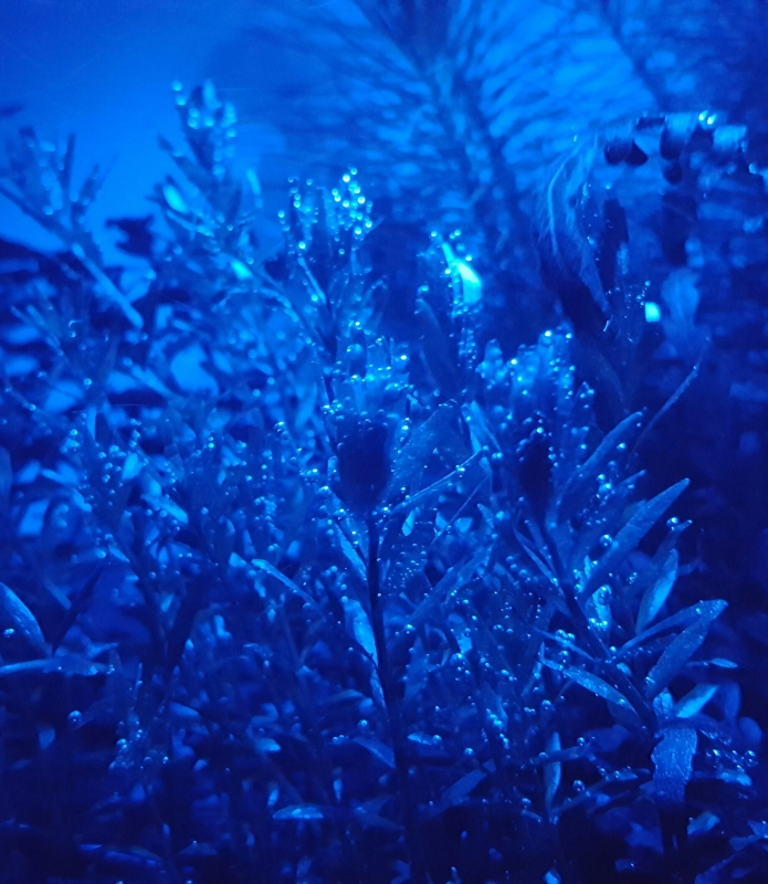 20160509_235549.jpg