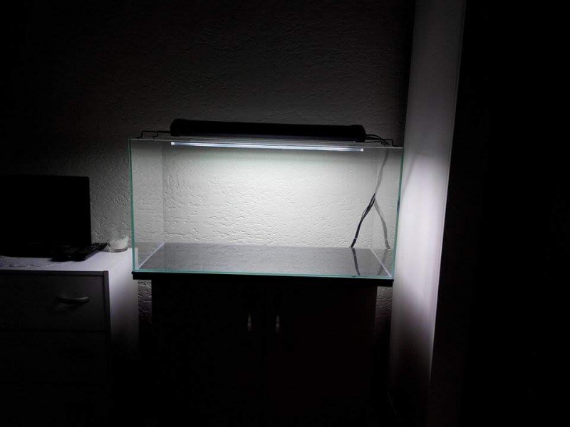 received_849690501752157.jpeg