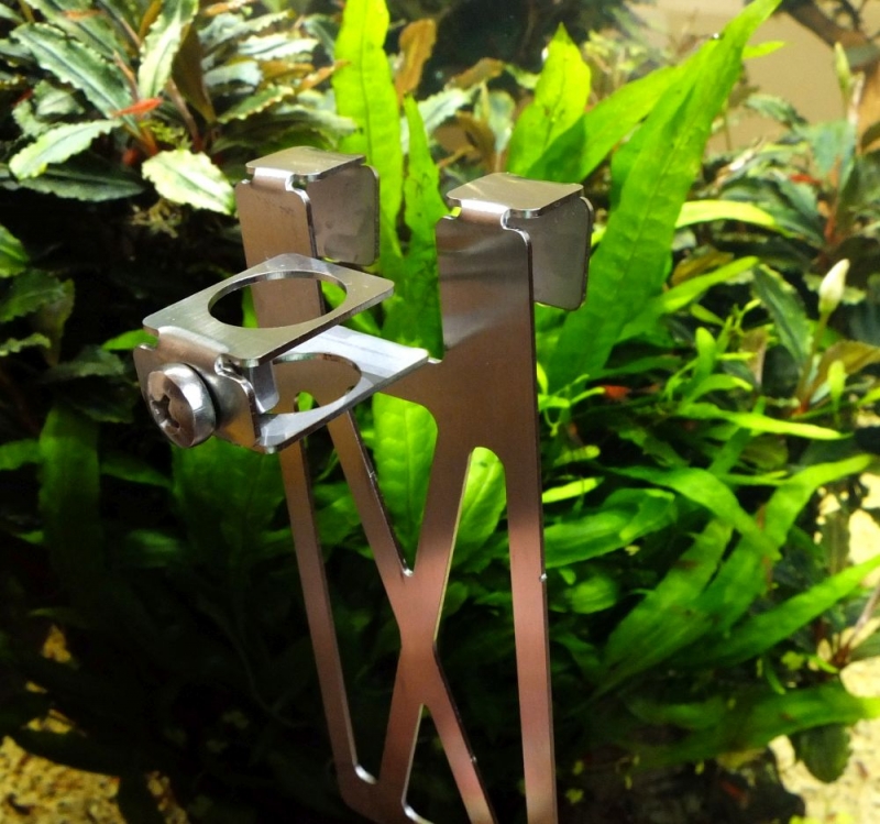 DSCF3181.JPG