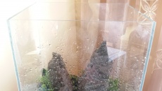 031l - Garden Stone -  Emet Brown