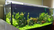 Chihiros A LED A-1201