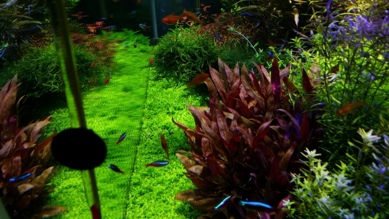 20160613_175152.jpg