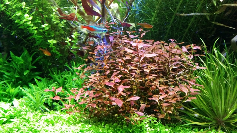 20160613_175227.jpg