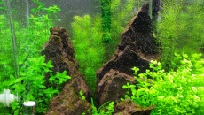 031l - Garden Stone -  Emet Brown
