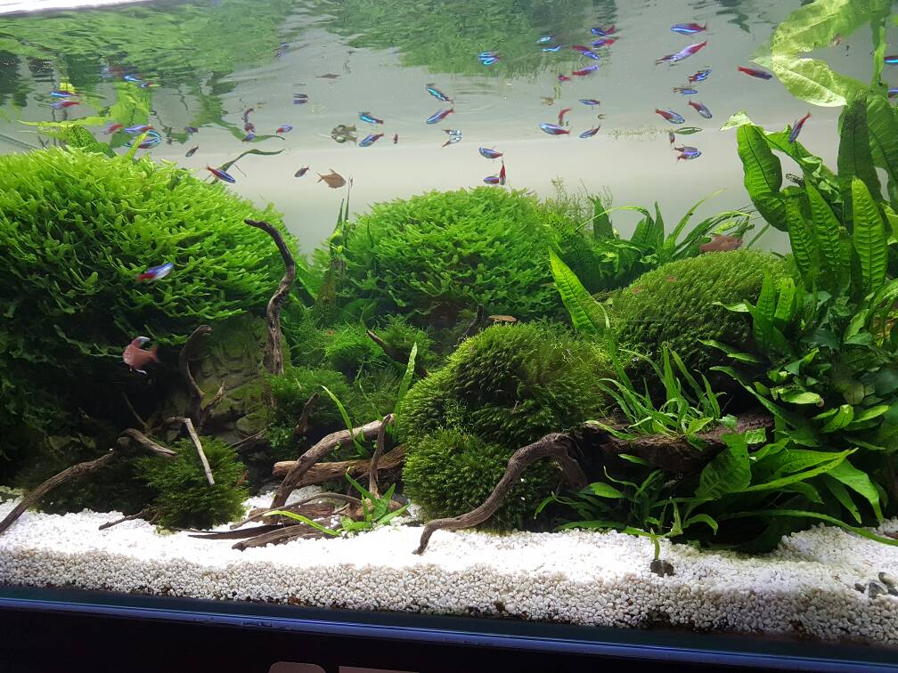 1468147871655.jpg