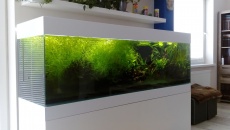 600l - Nowy projekt - 3promile