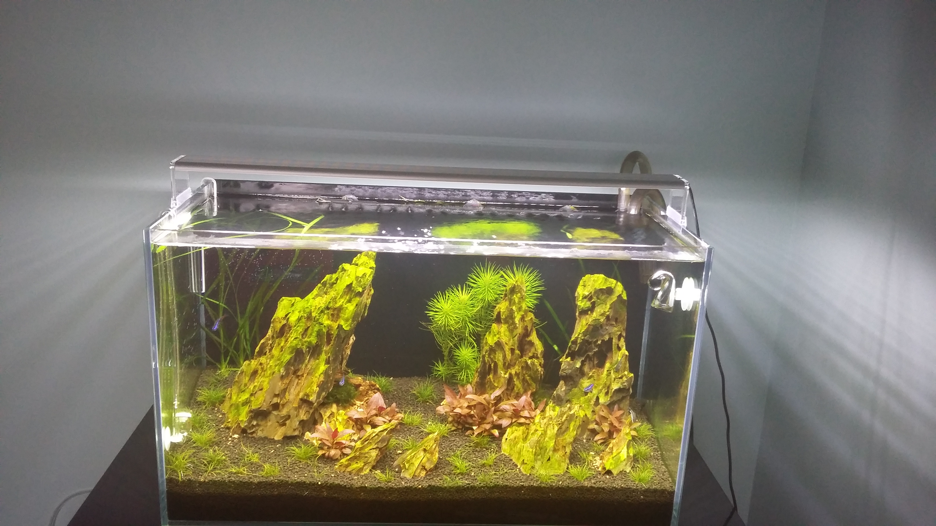 20160728_154437.jpg